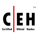 Certified Ethical Hacker, issued by EC-Council