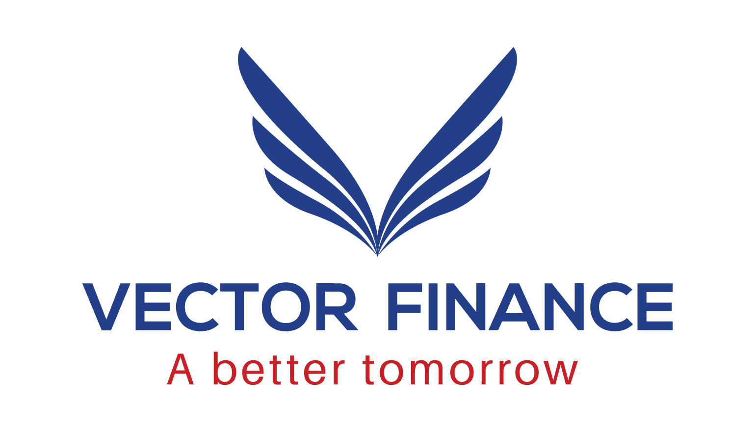 Vector Finance